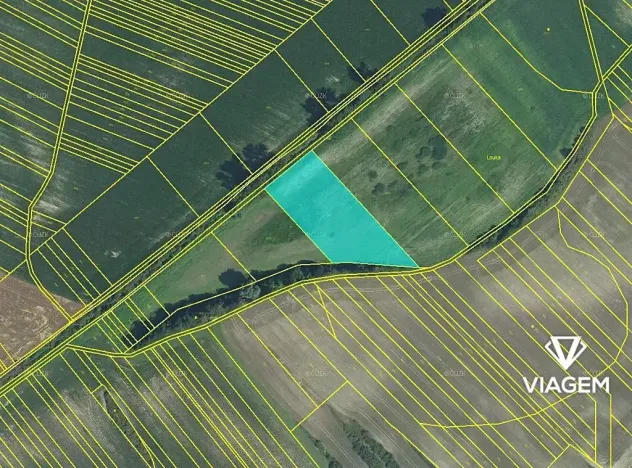 Prodej podílu pole, Lovčice, 935 m2