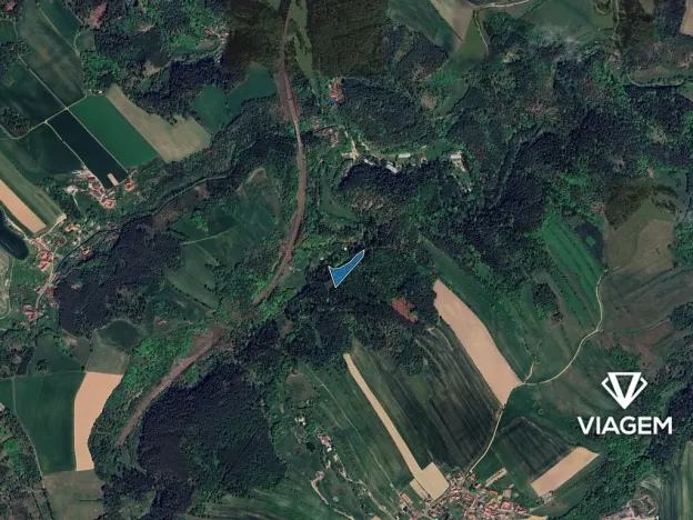 Prodej podílu lesa, Kuřimská Nová Ves, 3556 m2