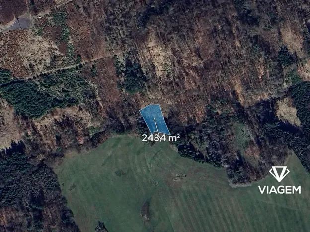 Prodej lesa, Stříbrná Skalice, 2484 m2