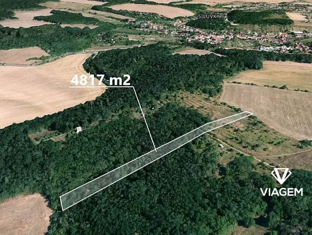 Prodej lesa, Silůvky, 4817 m2