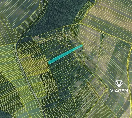 Prodej lesa, Silůvky, 4817 m2