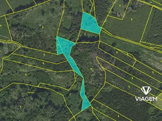 Prodej lesa, Zbizuby, 6015 m2