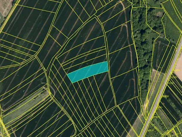 Prodej podílu pole, Bystřice pod Hostýnem, 1301 m2