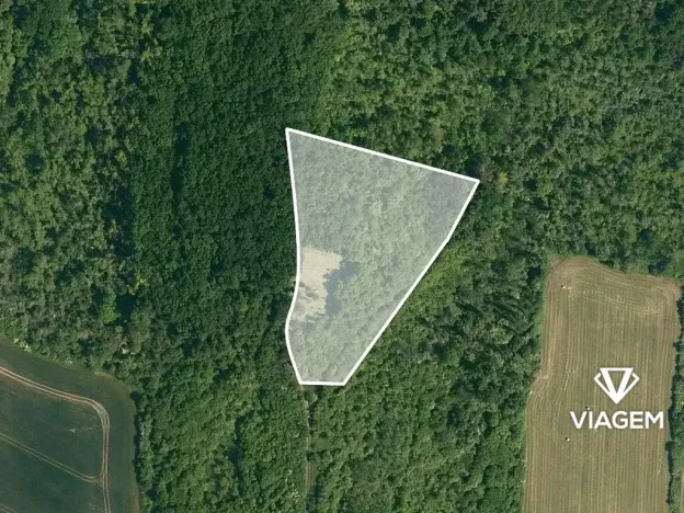 Prodej podílu lesa, Dobrovice, 2060 m2