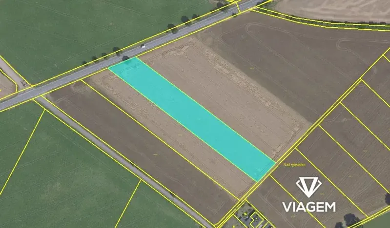 Prodej podílu pole, Bořanovice, 1999 m2