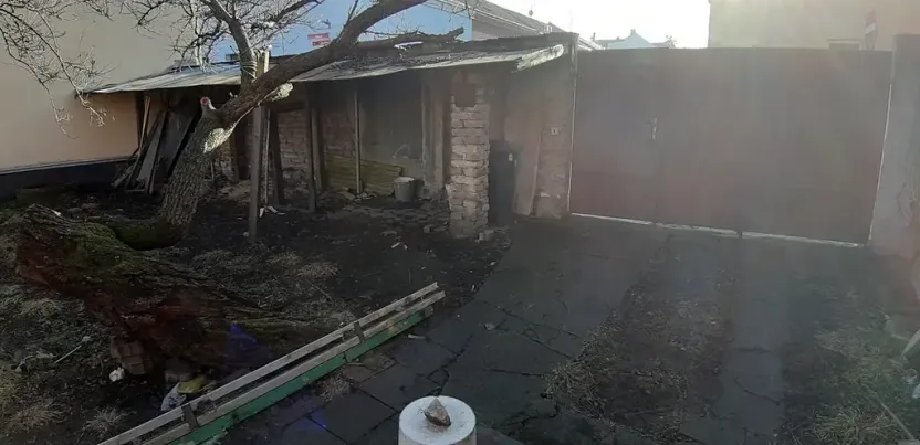 Prodej zahrady, Břeclav, 265 m2