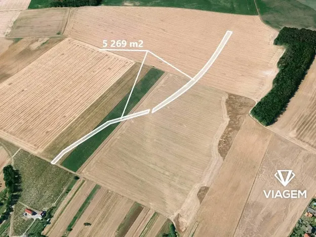 Prodej podílu pole, Kuchařovice, 1317 m2