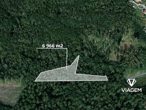 Prodej podílu lesa, Dašice, 3483 m2