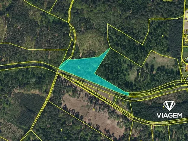 Prodej podílu lesa, Dašice, 3483 m2