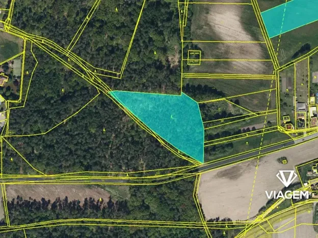 Prodej podílu lesa, Dašice, 5360 m2