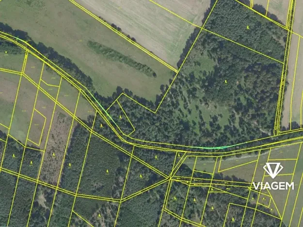 Prodej podílu lesa, Sokoleč, 1999 m2