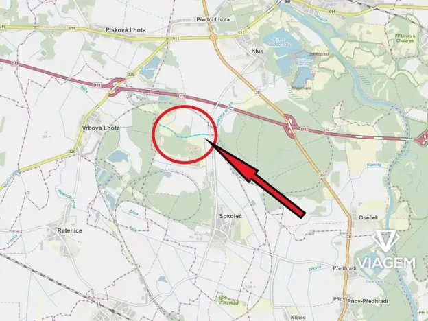 Prodej podílu lesa, Sokoleč, 1999 m2