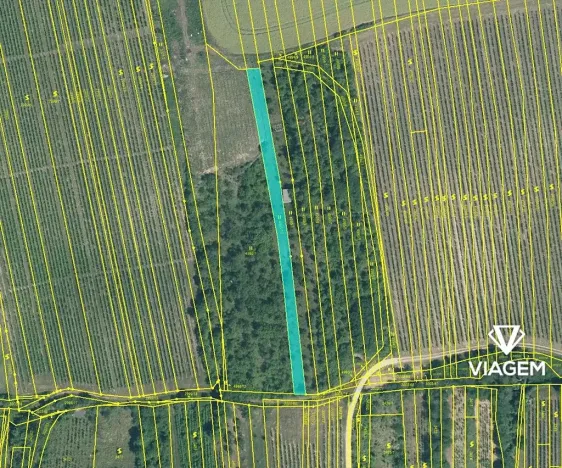 Prodej podílu zahrady, Bzenec, 679 m2