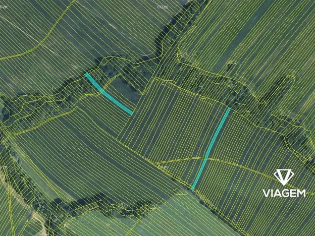 Prodej podílu pole, Mistřice, 3801 m2