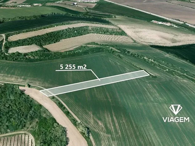 Prodej podílu pole, Blučina, 1751 m2