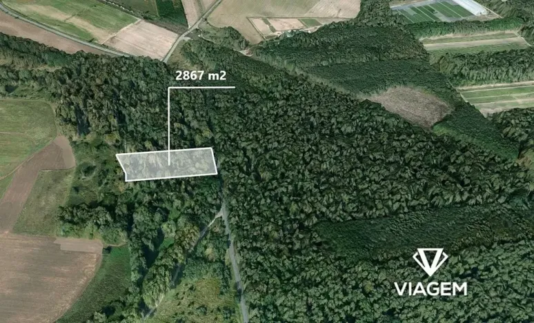 Prodej lesa, Křenek, 2867 m2