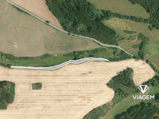 Prodej lesa, Svojšín, 3555 m2