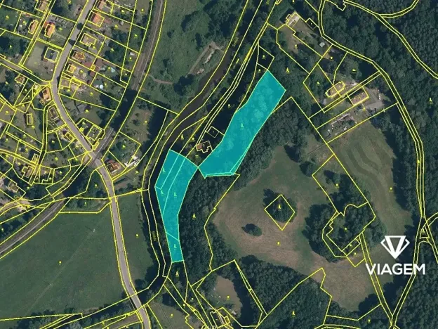 Prodej lesa, Višňová, 8074 m2