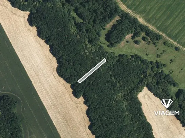 Prodej podílu lesa, Popovice, 735 m2