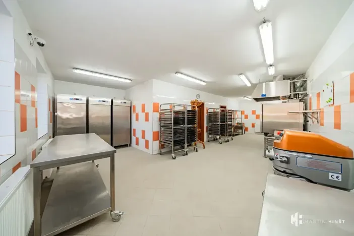 Pronájem výrobních prostor, Zlonín, Hlavní, 50 m2