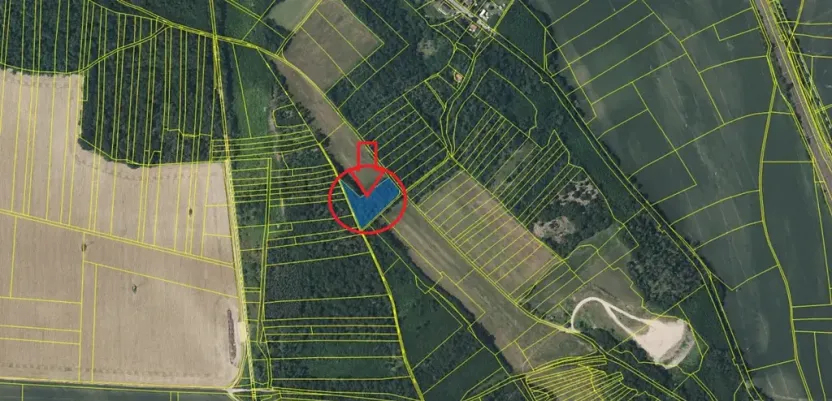 Prodej podílu lesa, Dolní Beřkovice, 1050 m2