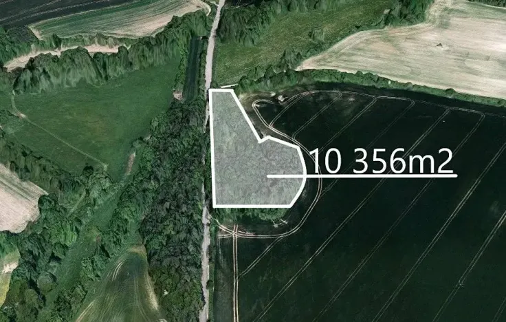 Prodej podílu lesa, Krchleby, 414 m2