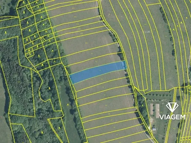 Prodej pole, Březůvky, 2058 m2