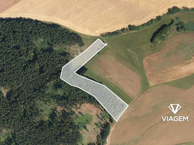 Prodej podílu lesa, Mříčná, 3898 m2