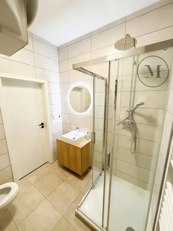 Pronájem bytu 1+kk, České Budějovice, Družstevní, 30 m2