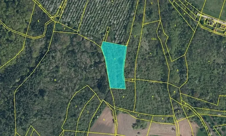 Prodej pole, Vinařice, 5664 m2