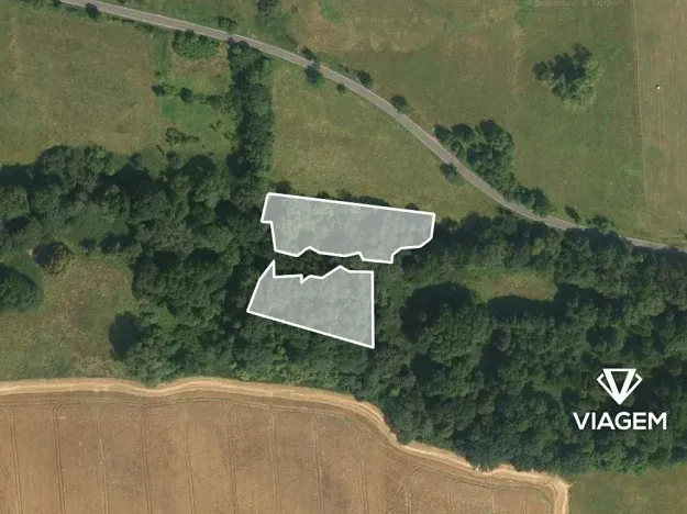 Prodej podílu lesa, Kravaře, 854 m2