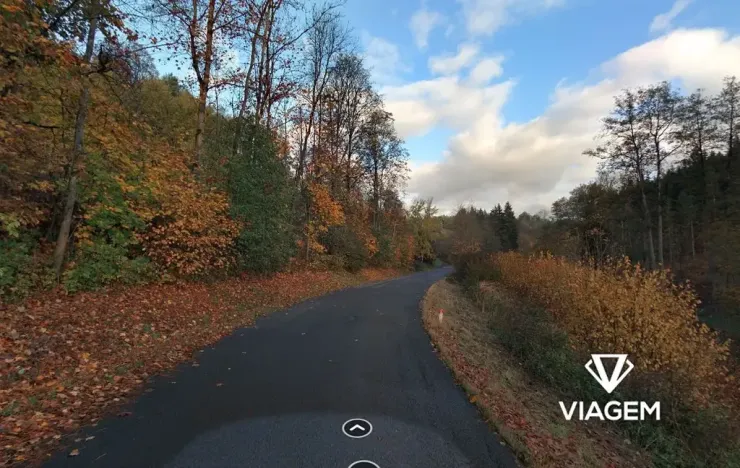 Prodej podílu lesa, Stružinec, 1339 m2