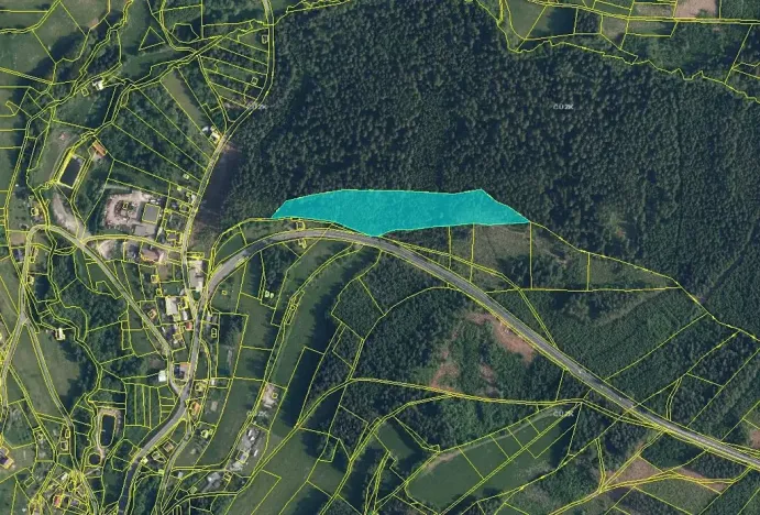Prodej podílu lesa, Loužnice, 5026 m2