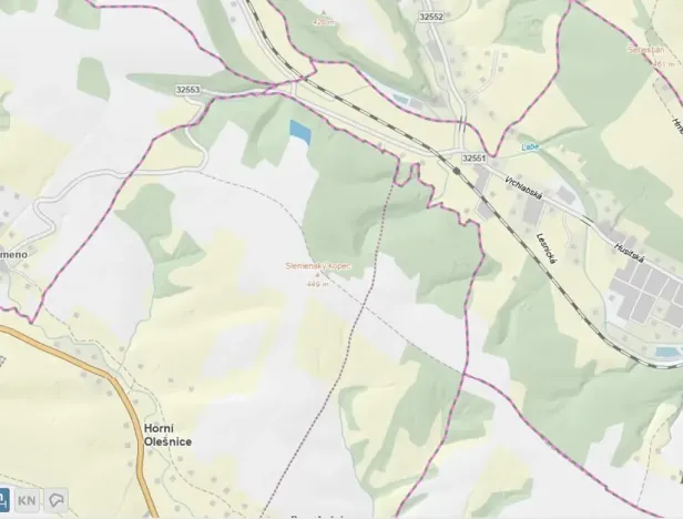 Prodej lesa, Horní Olešnice, 7037 m2