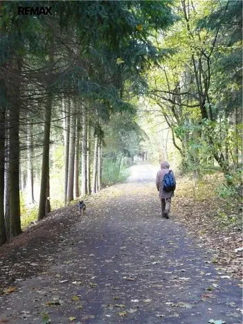 Prodej pozemku pro bydlení, Mariánské Lázně, Dobrovského, 1311 m2