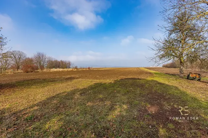 Prodej vícegeneračního domu, Chotiněves, 495 m2