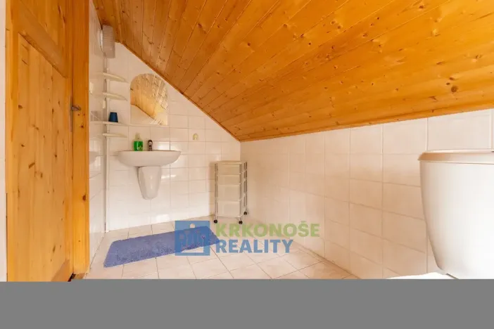 Prodej chaty, Černý Důl, 340 m2