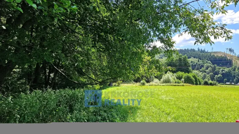 Prodej louky, Trutnov - Babí, 68585 m2