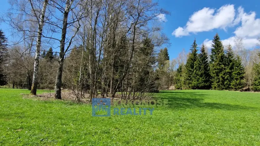 Prodej pozemku, Černý Důl - Čistá v Krkonoších, 2788 m2