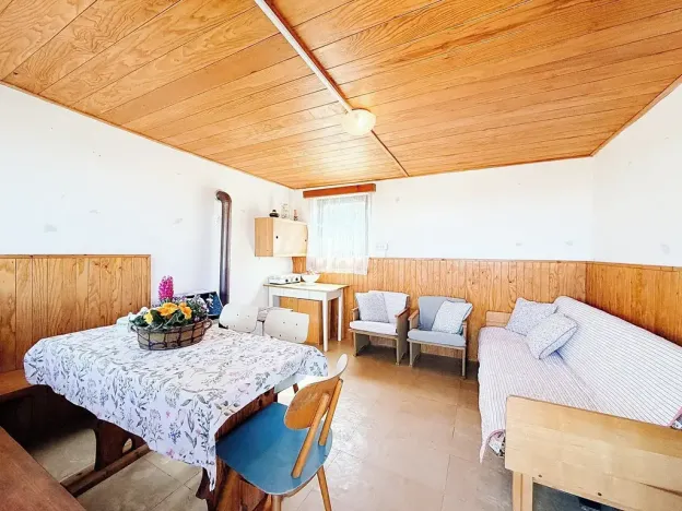 Prodej chaty, Vysoké Mýto, Vinice, 17 m2