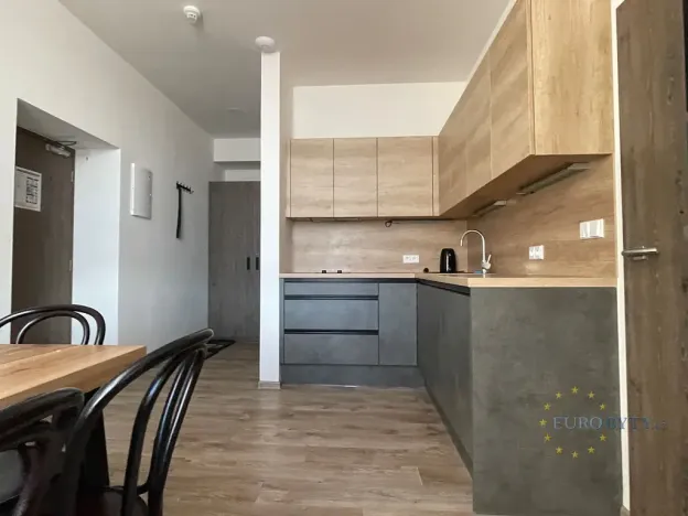 Prodej bytu 2+1, Loučná pod Klínovcem, 40 m2