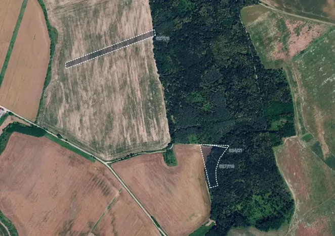 Prodej pole, Džbánice, 6560 m2