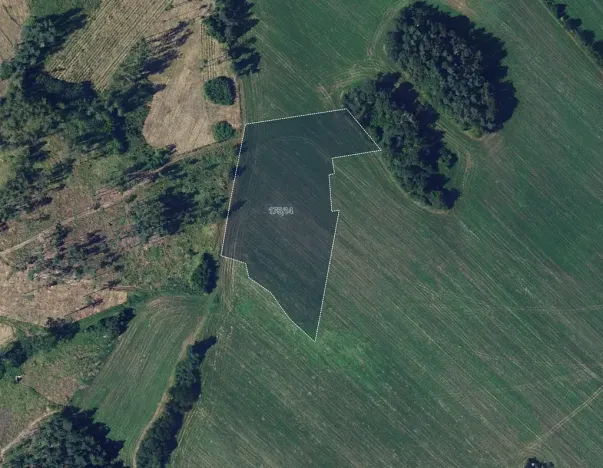 Prodej pole, Věžná, 11594 m2