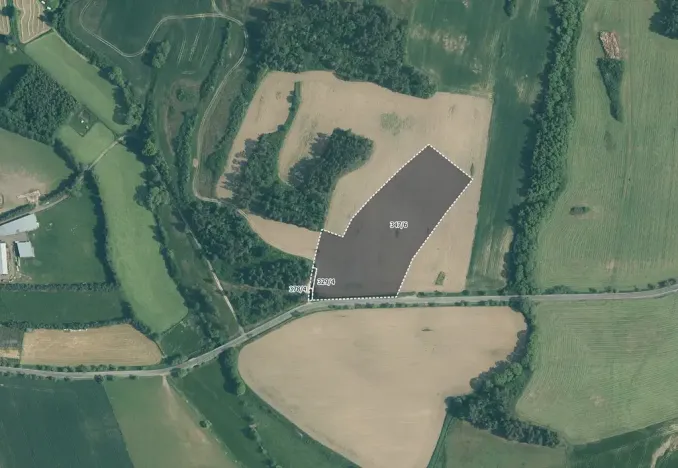 Prodej pole, Velký Bor, 34439 m2