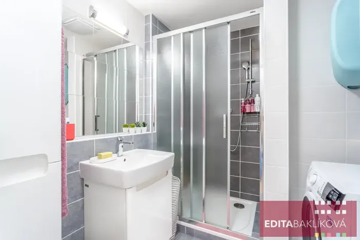 Pronájem bytu 1+kk, Olomouc, Eduarda Hamburgera, 33 m2