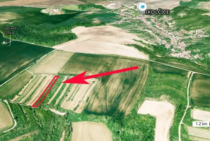 Prodej sadu/vinice, Nikolčice, 2568 m2