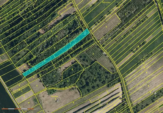 Prodej sadu/vinice, Velké Němčice, 3259 m2