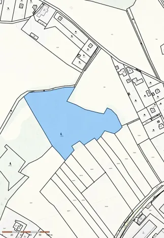 Prodej lesa, Jílové u Prahy, 15458 m2