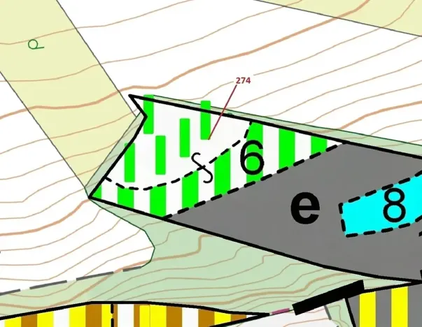 Dražba lesa, Jeviněves, 4557 m2