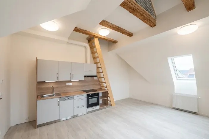 Pronájem bytu 1+kk, Liberec - Liberec III-Jeřáb, Americká, 44 m2